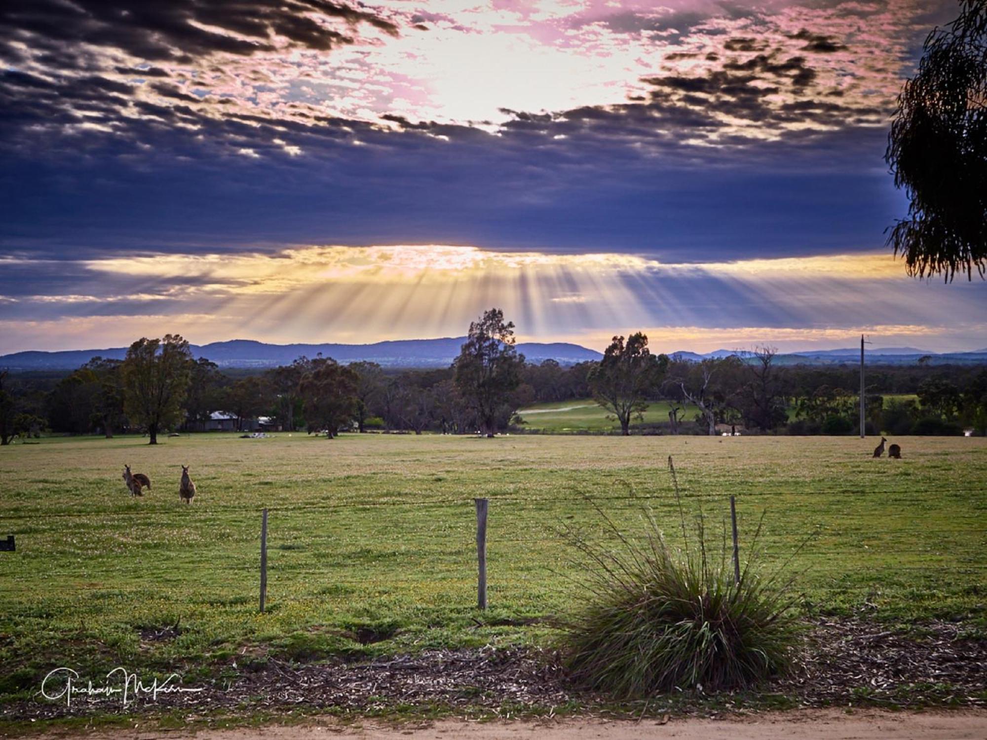 Grampians Pioneer Cottages Halls Gap Kültér fotó
