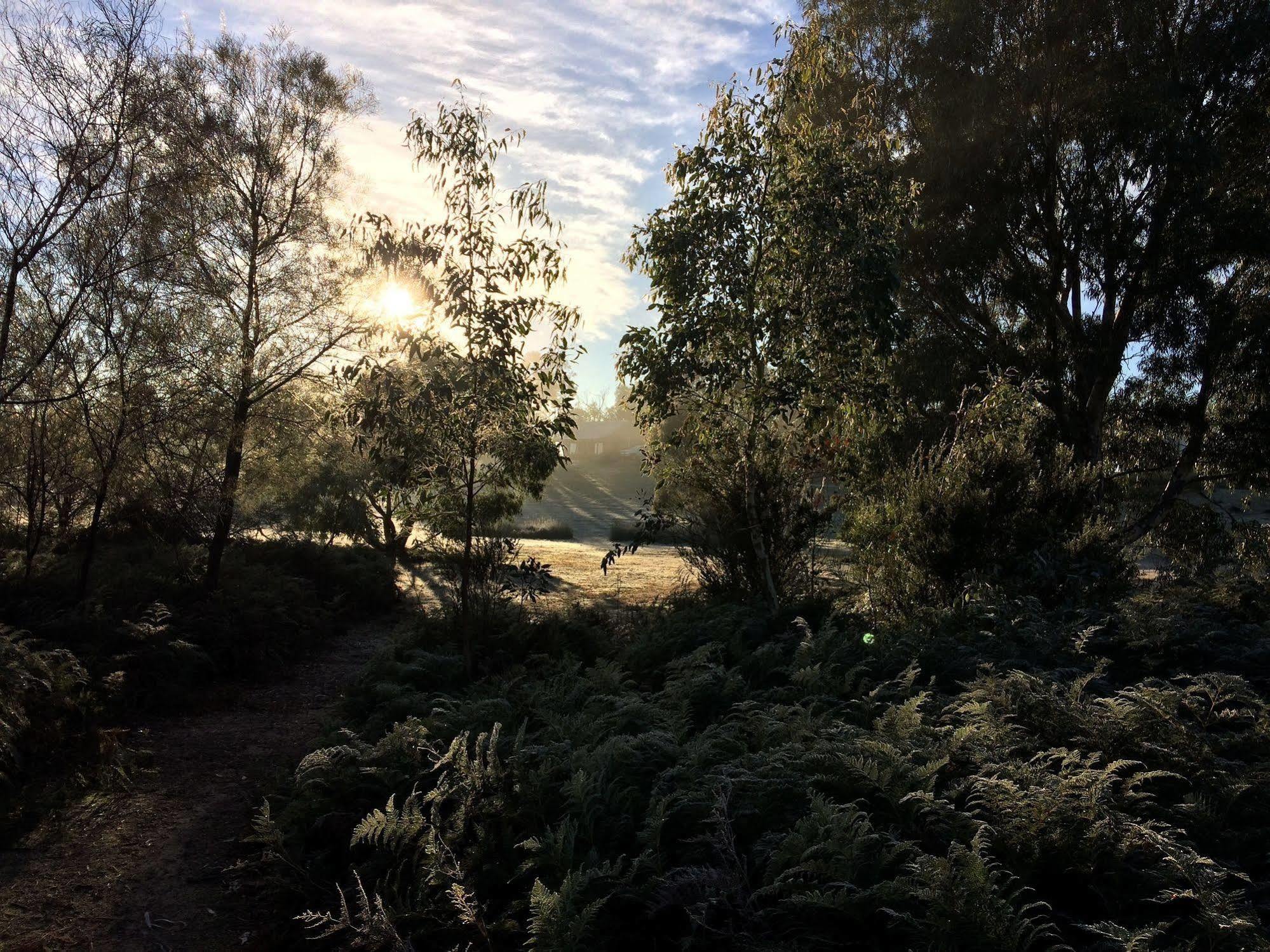 Grampians Pioneer Cottages Halls Gap Kültér fotó